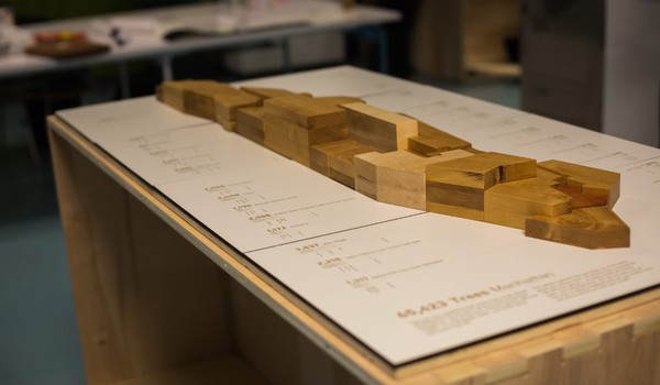 Manhattan Tree Topography