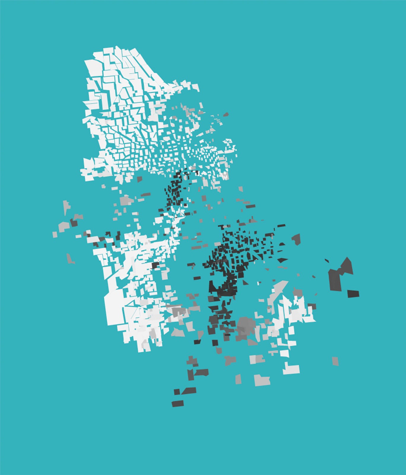 Visualizing The Racial Divide